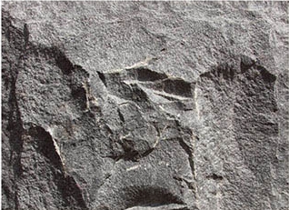 微信截图_20240920101149